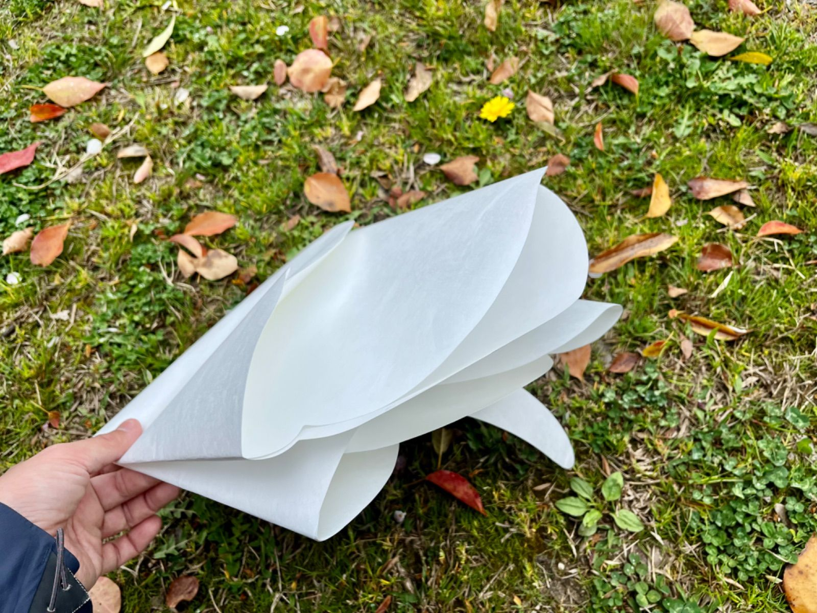 Fukidashi Tyvek sheet MOKUMOKU